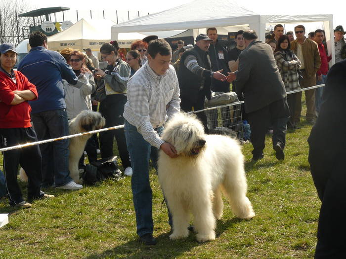 Cac Iasi 011