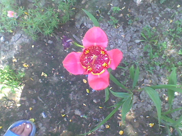 Imag038