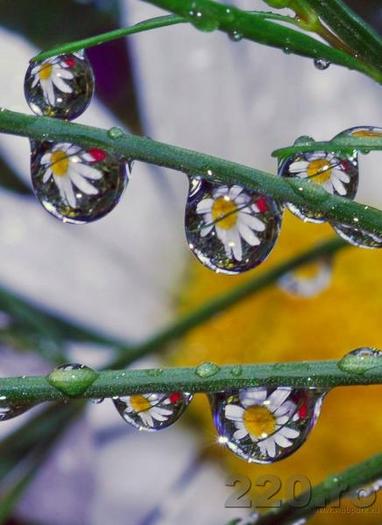 from_220_ro_13936