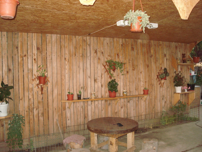 DSC09823