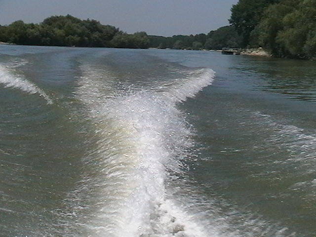 IMGA0789 - In Delta Dunarii- Mila 23-iunie 2009