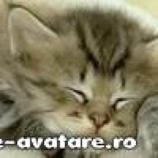 avatare_gratuite_66b3704653c294587281b59a703710df_original - avatare