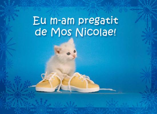 eu m-am pregatit de mos nicolae!] - pisicute