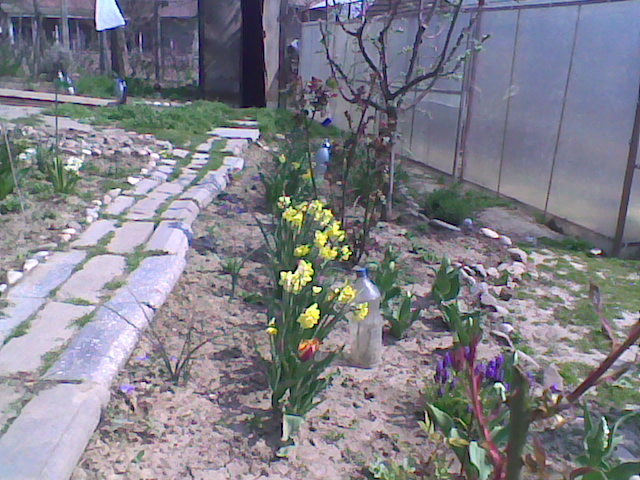 Imag067