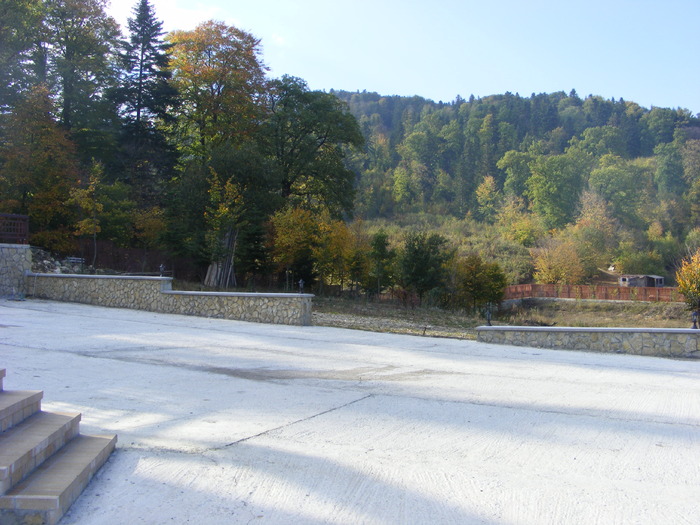 Padurea pensiunii - Intalnire la  Castelul Dobru