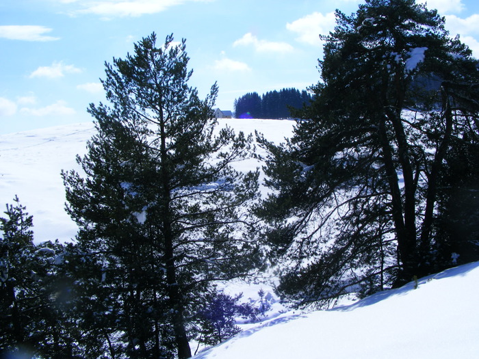 DSCF6960