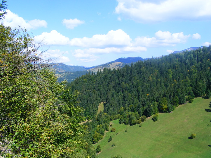 DSCF6339 - muntii Rodnei