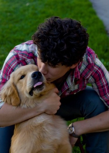 nick-jonas-elvis-puppy-thumb-440x6171 - Nicholas PhotoShoot 5