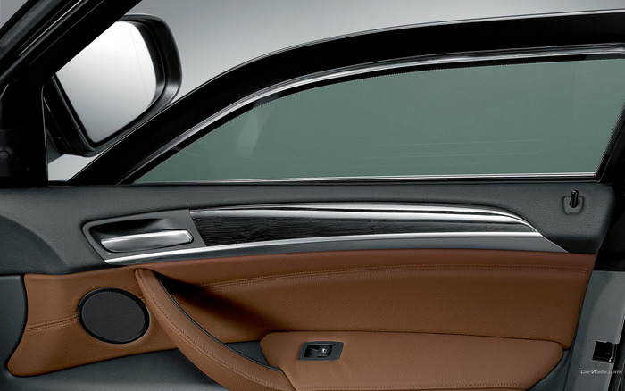 BMW_X5-security_996_1680x1050