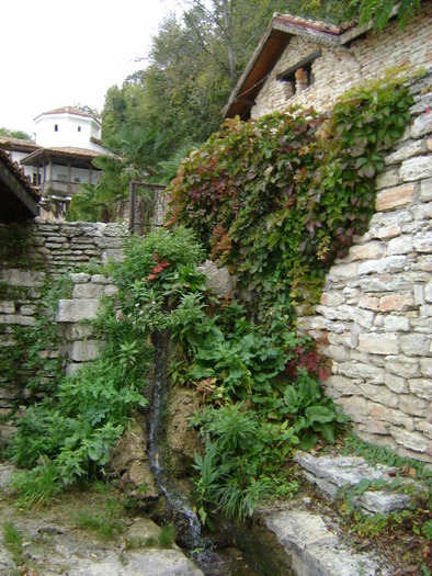 DSC07229; ..SI TE POARTA IN AFARA CASTELULUI...
