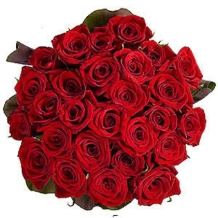 Trandafiri_1k3dd432b2c2 - trandafiri frumosi