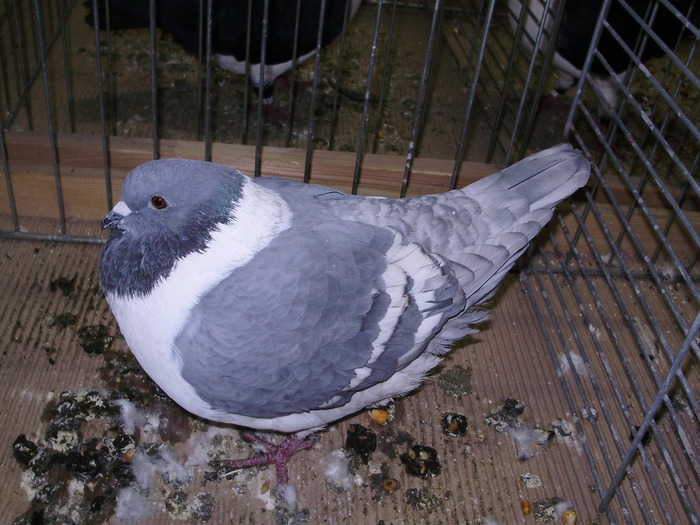 5778 ms 0