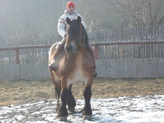 Turism ecvestru - Turism Ecvestru Calare Prin Romania