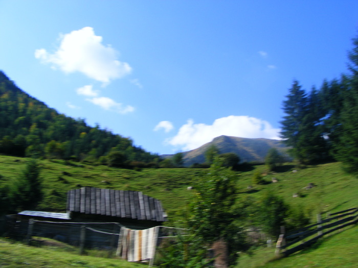 DSCF6266 - muntii Rodnei