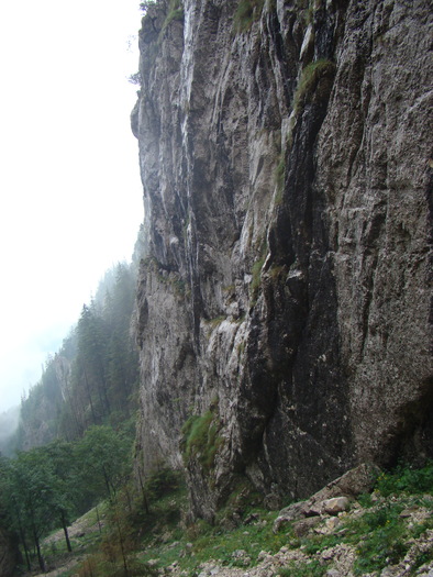 DSC04054 - Piatra Craiului August 2009 Valea Crapaturii