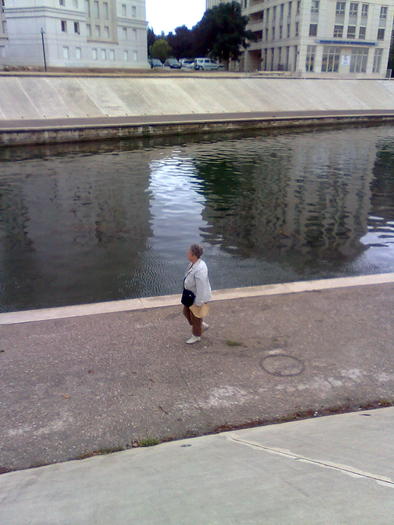 Imagine1340 - ApiMondia