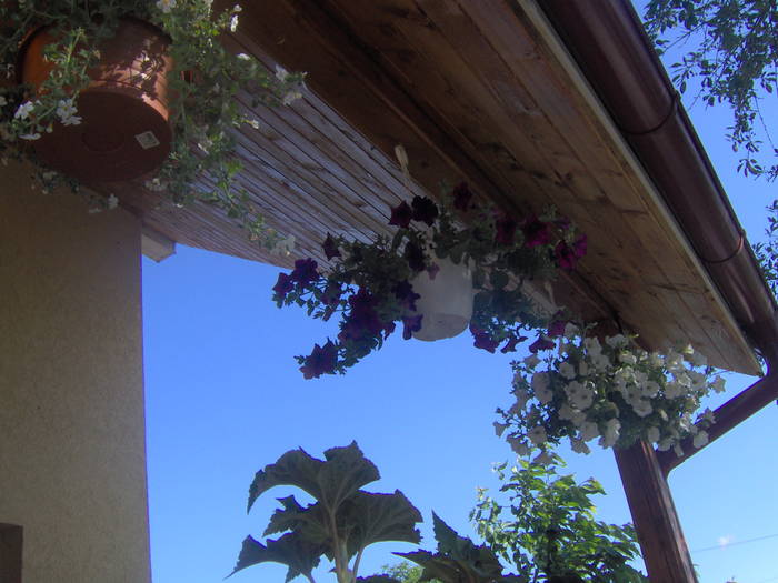 23.05.2009 027 - 23 mai 2009