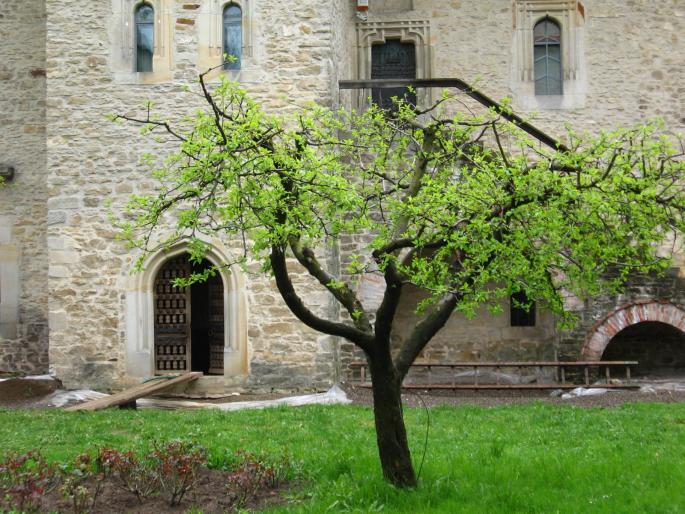 IMG_4129 - Manastiri Bucovina