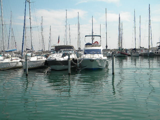 DSCN1081