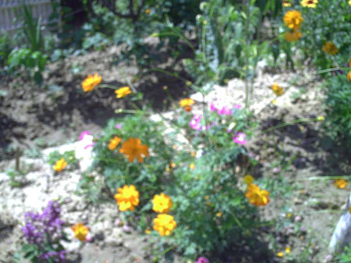 PICT0066
