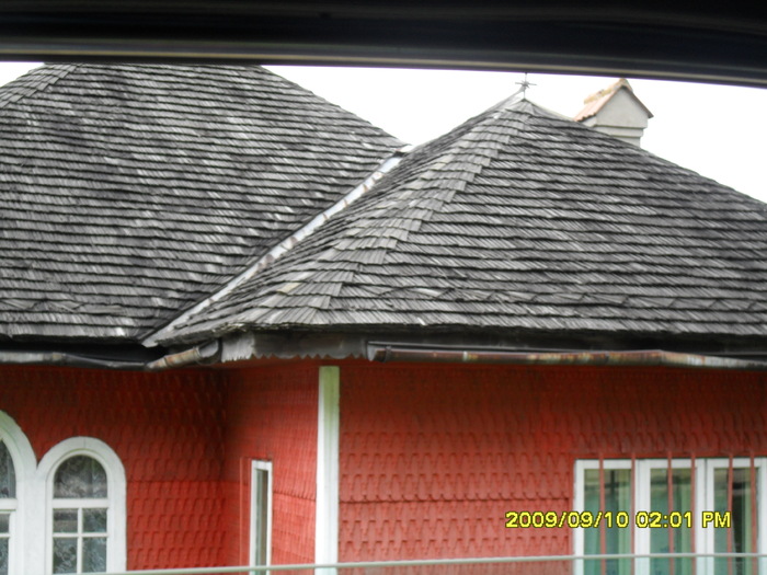 SDC10249
