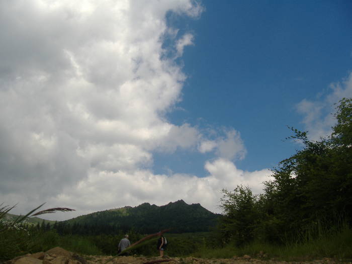 DSCF6084