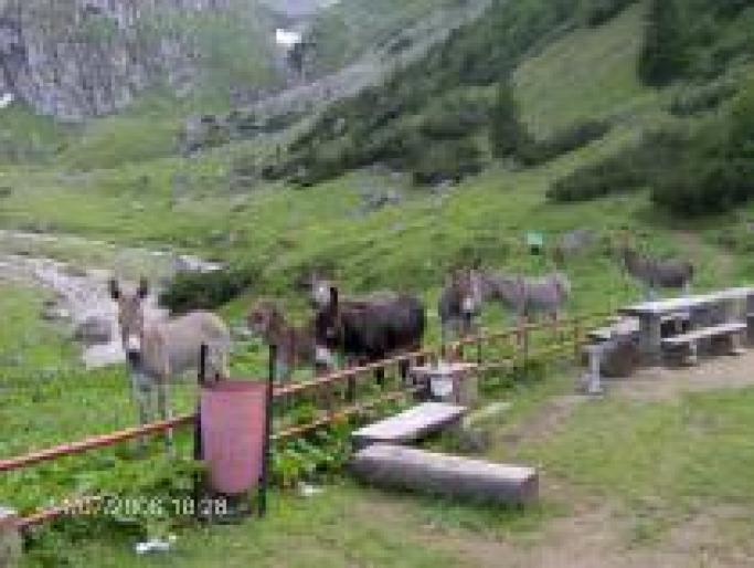 KJWMXFJCIPBCLYUQGDV - ROMANIA-2008