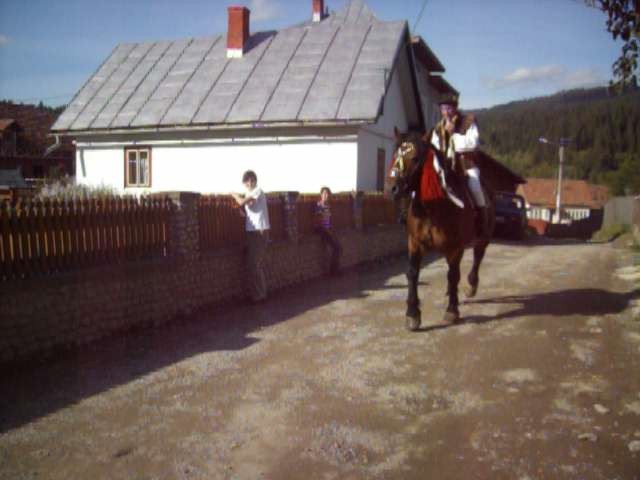 Picture 215 - nunta cu cai in Bucovina 2009 in Campulung moldovensc Suceava