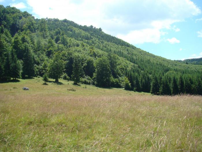 DSC02096 - Concediu 2008