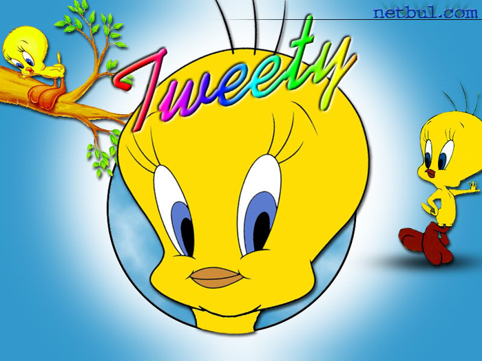 dc15a4cdf99d09c23270dd41876ce8bb - Tweety