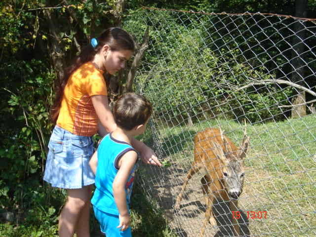 Sighisoara Aug.2006 200