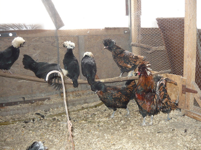 P1000734
