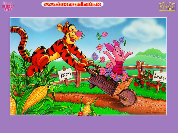 poze-poze-cu-winnie-the-pooh-02-84[1] - winnie the pooh