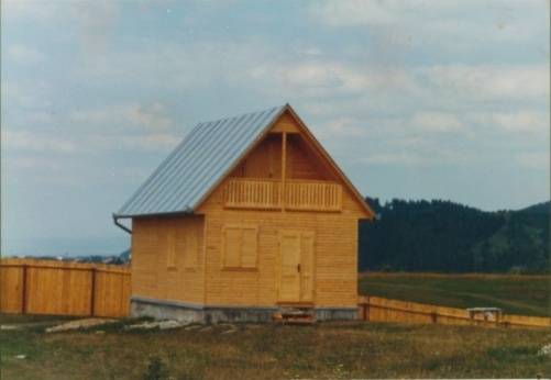 033 - ROMANIA-ARTA TRADITIONALA