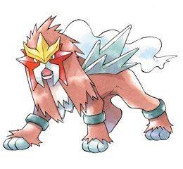 244entei