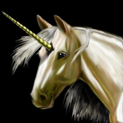 Unicorn2[1] - unicorni
