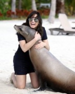 ITWOHCIAKVOJOFSSGPE - demi lovato in bahamas joc cu delfinii si focile