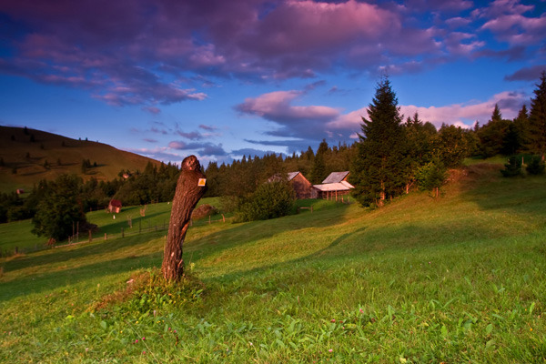 din bucovina