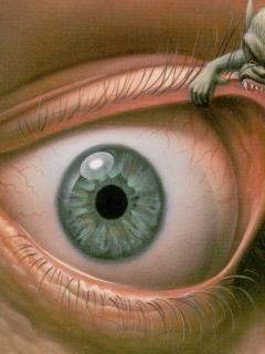 glaza13 - Mobile Wallpapers