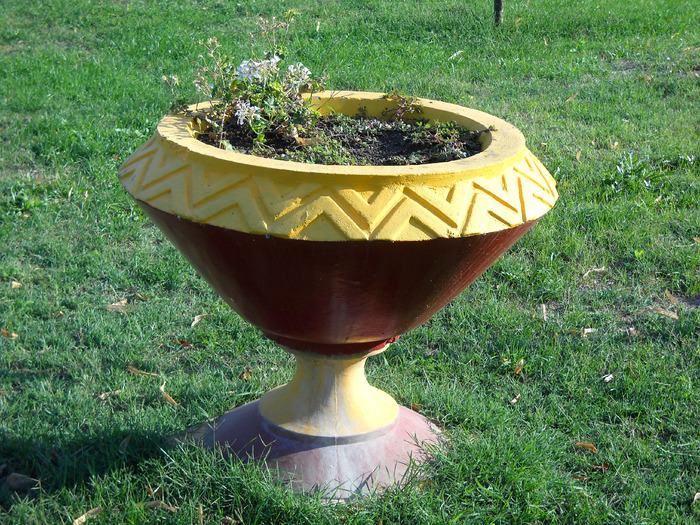 Picture 442 - flori dragute