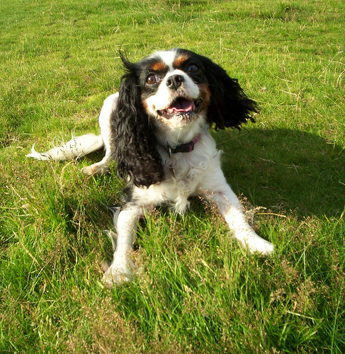 2518494316_25d18cf589