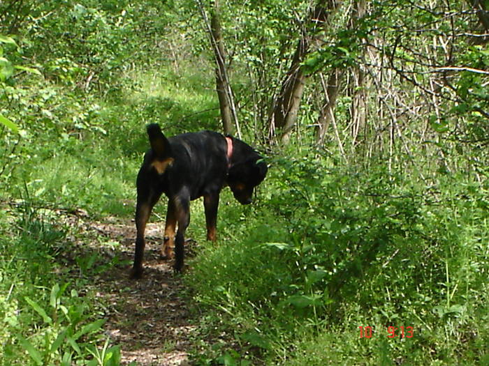 DSC04856 - BELLA poze noi