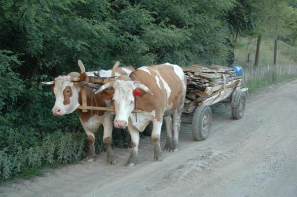 Frumosilor - POZE DIN ROMANIA