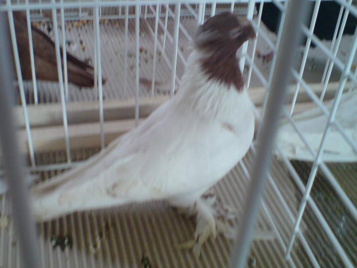 DSC00922