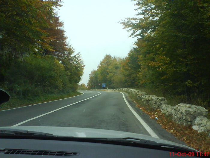 DSC02222 - transfagarasean si flora din Drauseni  BV