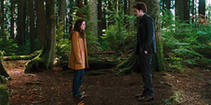 Twilight in the forest - Twilight- New Moon- Eclipse- Breaking Dawn