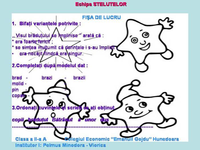 STELUTELE - LB  ROMANA