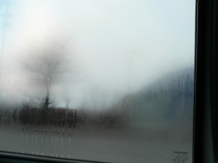 P1040105 - 2008 mos craciun adica eu