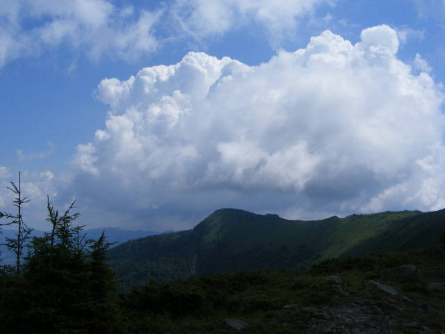 DSCF3155