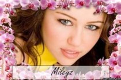 TZYPROEZLWCYTURHONY - Poze cu Miley